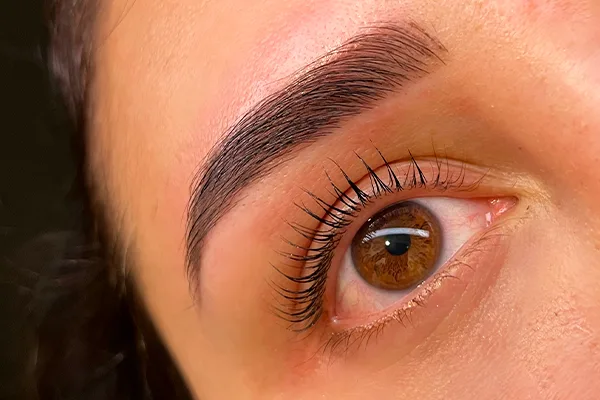 Brow Wax And Tint