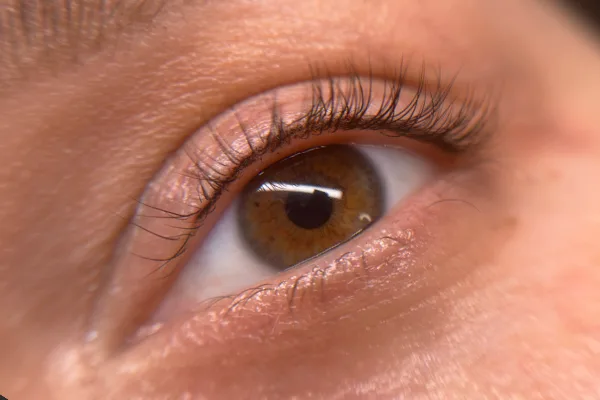 Permanent Makeup Eyeline